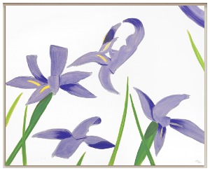 Purple irises on white